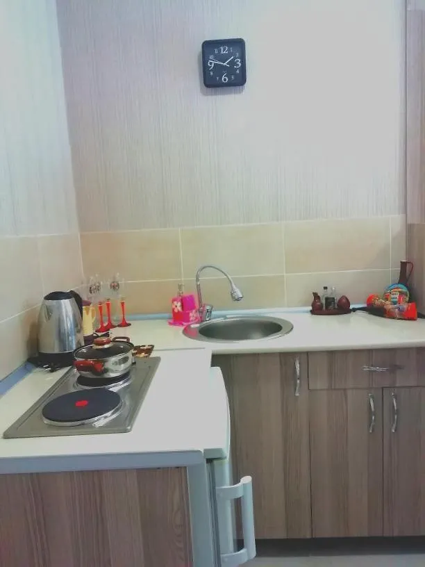 Studio Apartment Avlabari Тбилиси Грузия